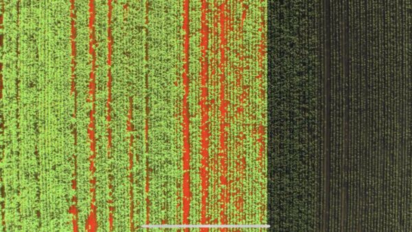 DJI P4 Multispectral - Drone Agro Industrial DJI - Imagen 3